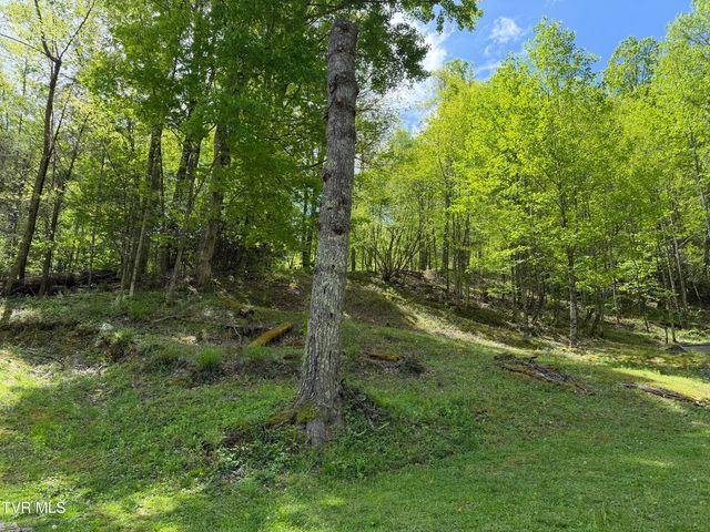 372 Ingram Branch Road, Roan Mountain, TN 37687