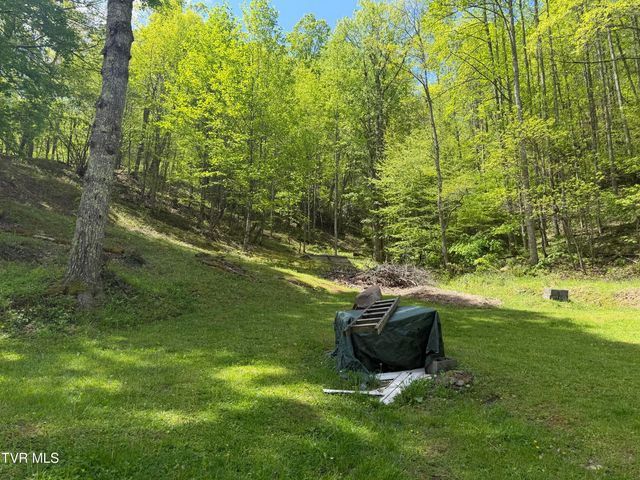 372 Ingram Branch Road, Roan Mountain, TN 37687