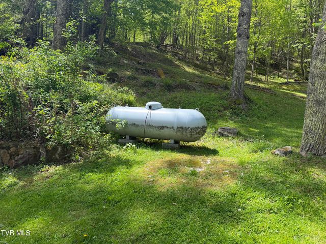 372 Ingram Branch Road, Roan Mountain, TN 37687