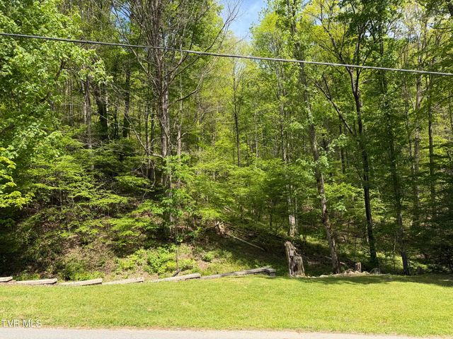 372 Ingram Branch Road, Roan Mountain, TN 37687