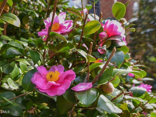 7108 Millstone Ridge Court, Raleigh, NC 27614