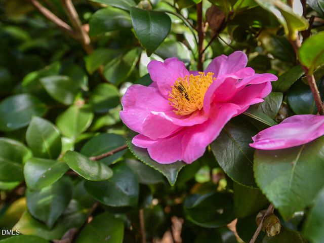 7108 Millstone Ridge Court, Raleigh, NC 27614