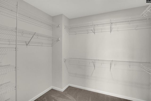 748 N Pinewalk Way, Elgin, SC 29045