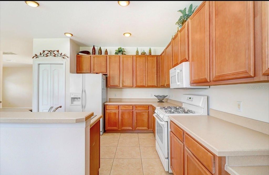 Image 13 of property listing at 9312 LOGWOOD COURT, Tampa, FL 33647