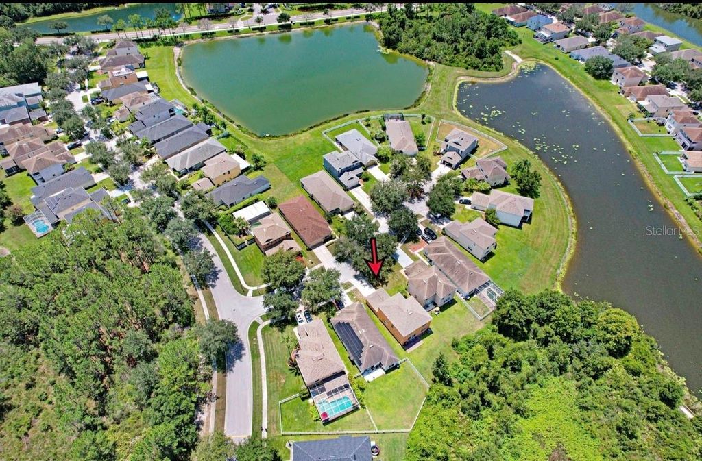 Image 45 of property listing at 9312 LOGWOOD COURT, Tampa, FL 33647
