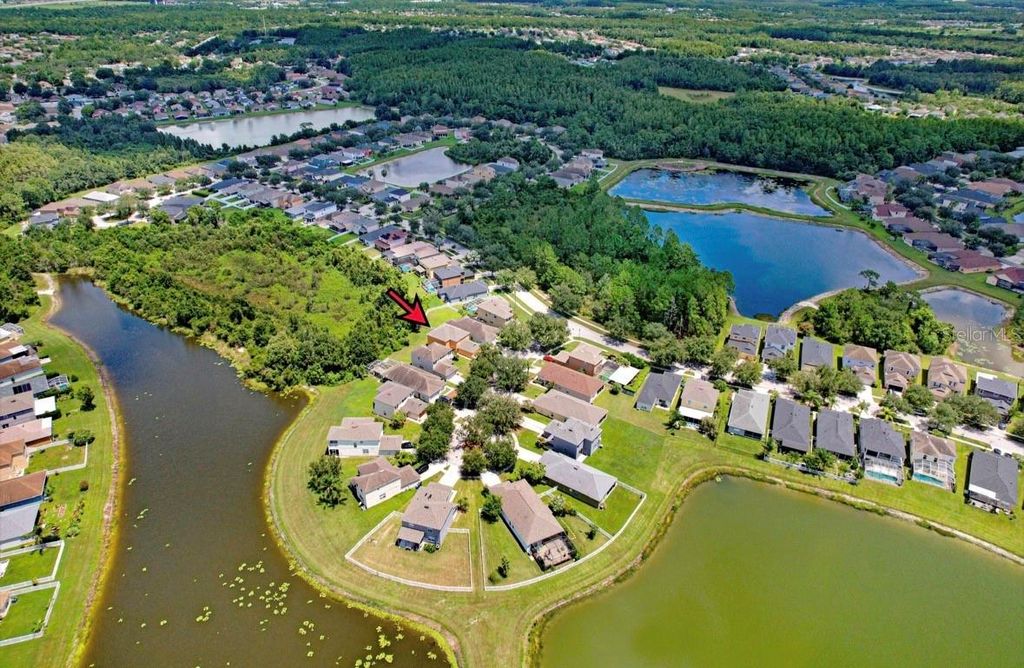 Image 47 of property listing at 9312 LOGWOOD COURT, Tampa, FL 33647