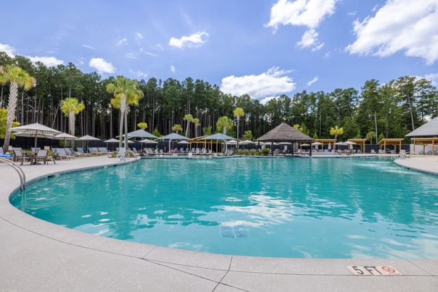 446 Switchgrass Drive, Summerville, SC 29486