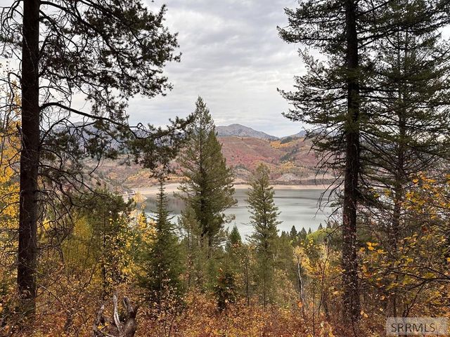 6 Upper Coyote Hollow, Irwin, ID 83428