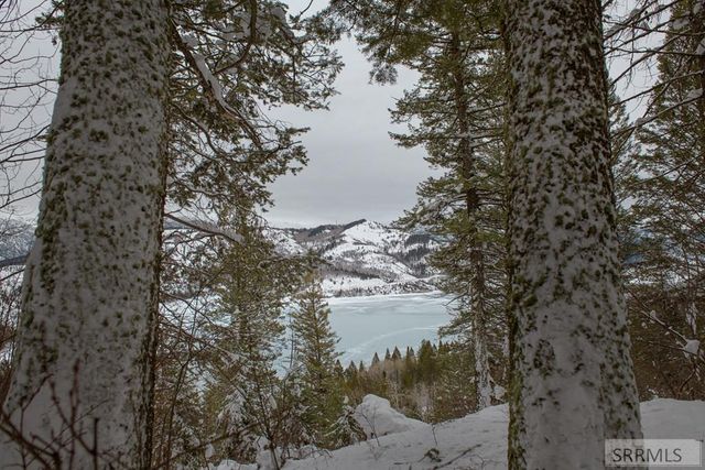 6 Upper Coyote Hollow, Irwin, ID 83428