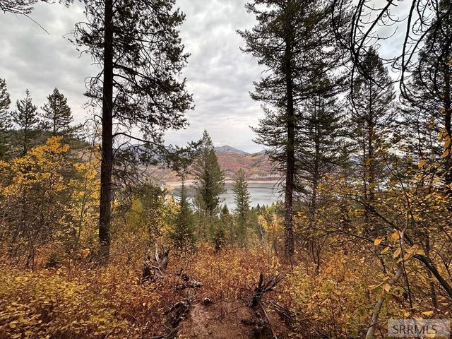 6 Upper Coyote Hollow, Irwin, ID 83428