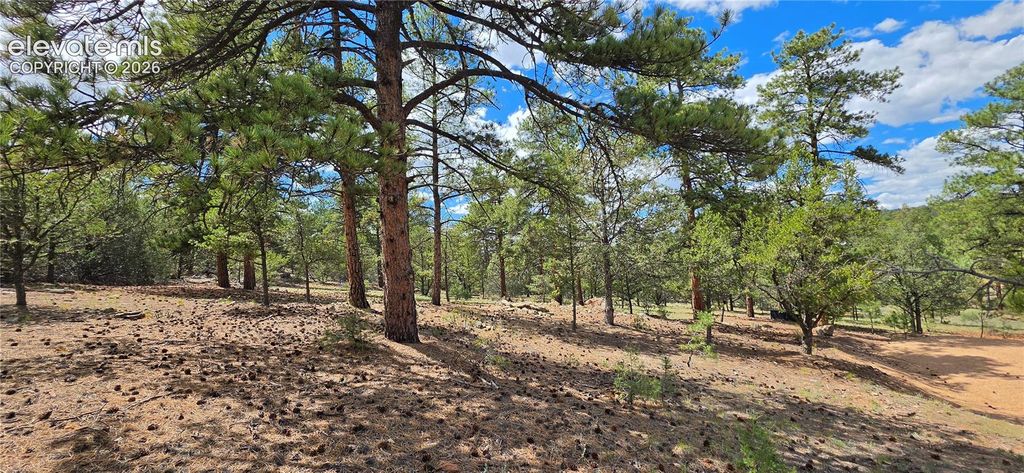 638 Keith Lane, Cotopaxi, CO 81223 — exterior