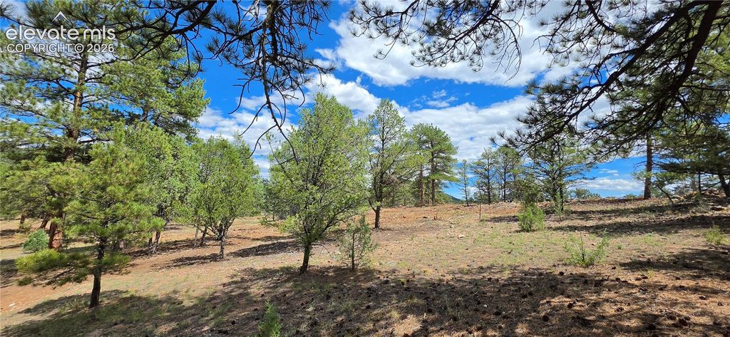638 Keith Lane, Cotopaxi, CO 81223 — photo 2