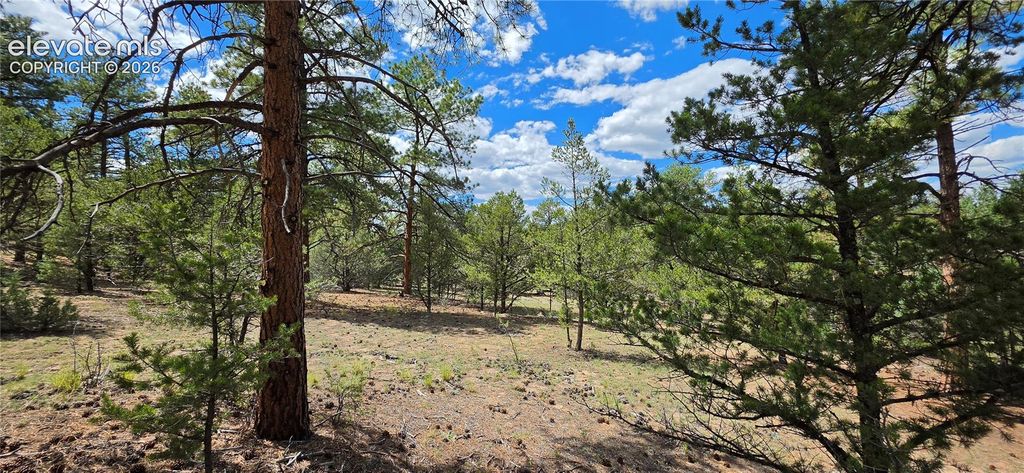 638 Keith Lane, Cotopaxi, CO 81223 — photo 3