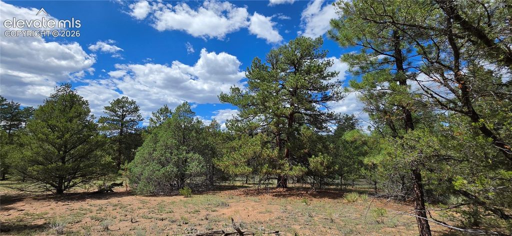 638 Keith Lane, Cotopaxi, CO 81223 — photo 4