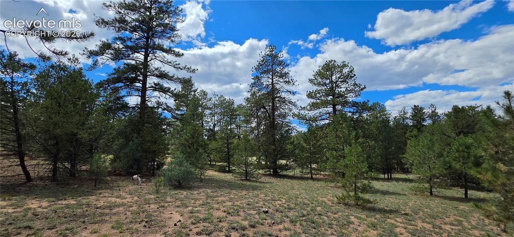638 Keith Lane, Cotopaxi, CO 81223 — photo 5