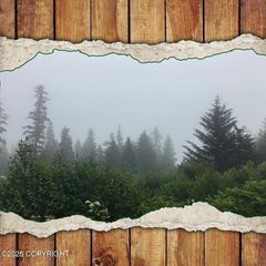 26940 Sterling Highway, Ninilchik, AK 99556