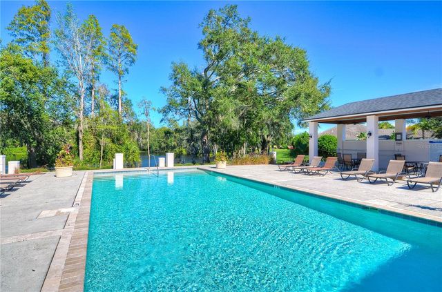 6806 MUNCASTER COURT, Tampa, FL 33625