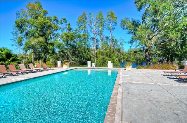 6806 MUNCASTER COURT, Tampa, FL 33625