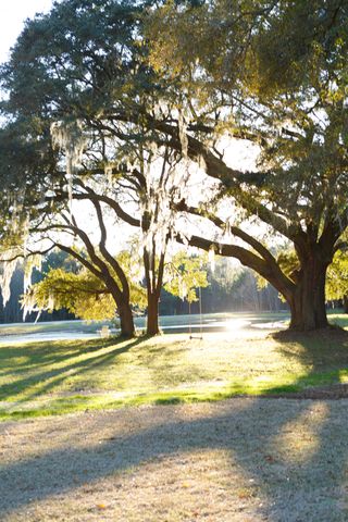 5117 Hut Crk Road, Johns Island, SC 29455