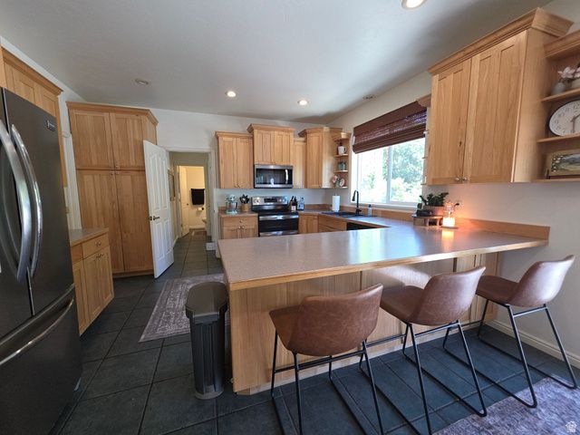 387 N LOAFER RD, Elk Ridge, UT 84651