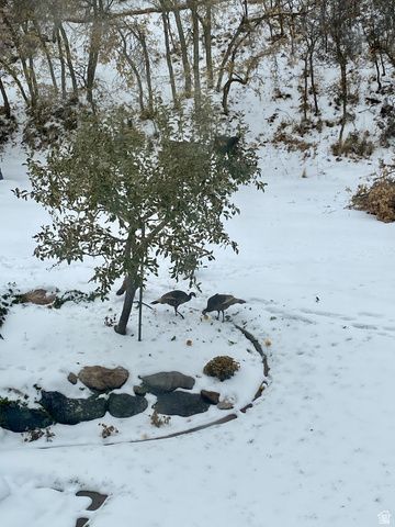 387 N LOAFER RD, Elk Ridge, UT 84651
