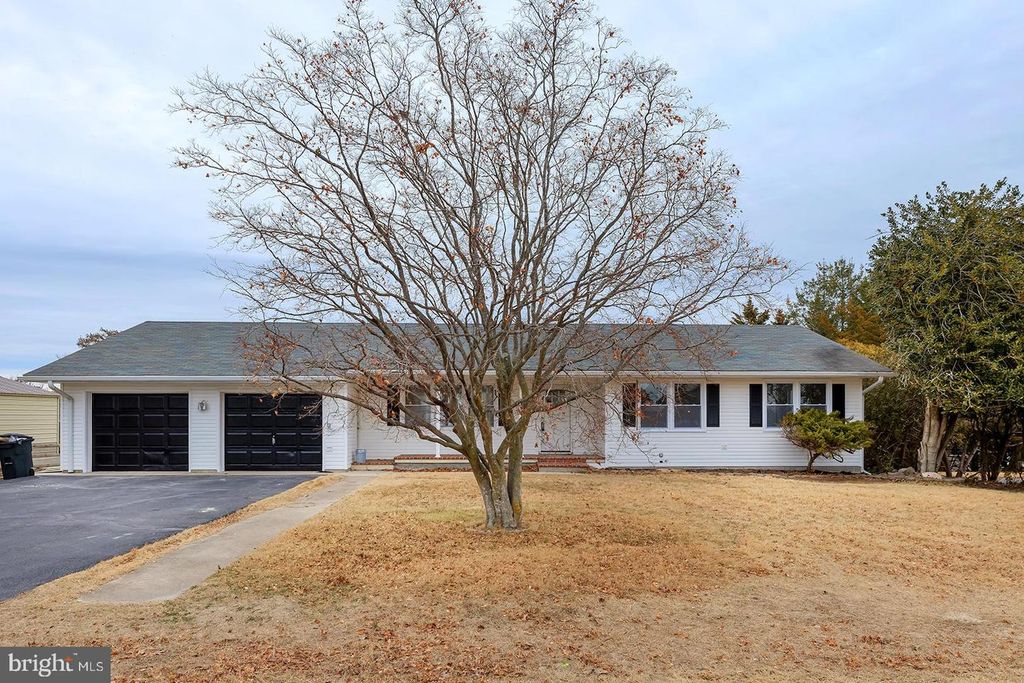 215 RIVER DRIVE, Millsboro, DE 19966
