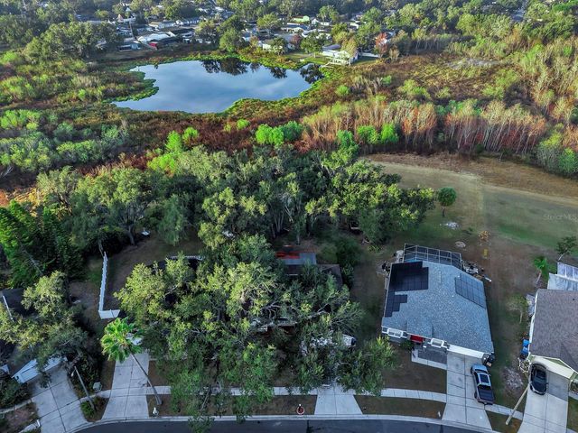 1306 GANGPLANK DRIVE, Valrico, FL 33594