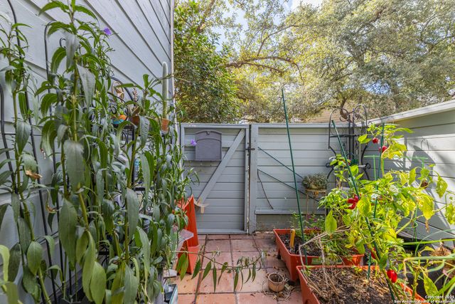 829 W Bitters Rd Apt 703, San Antonio, TX 78216