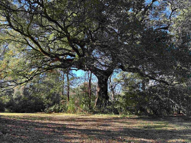 402 Wilkinson St., Georgetown, SC 29440