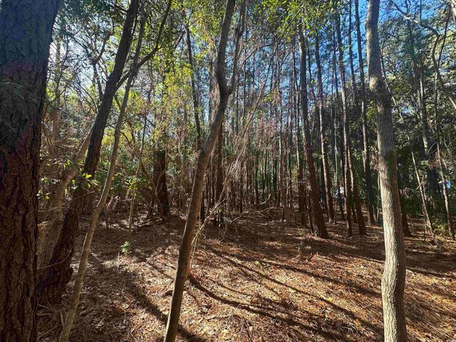 402 Wilkinson St., Georgetown, SC 29440