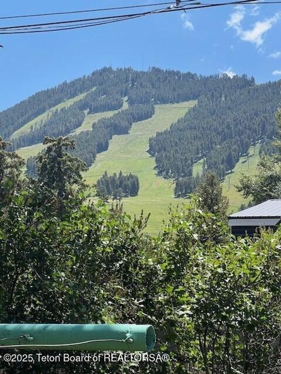 110 & 120 W HANSEN Avenue, Jackson, WY 83001 photo 12