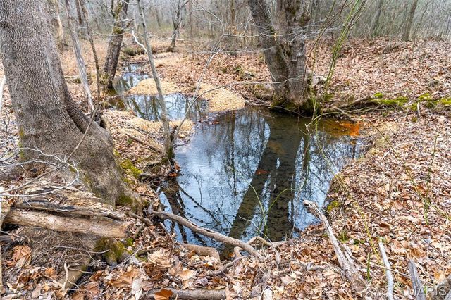 14524 US-67N, Williamsville, MO 63967