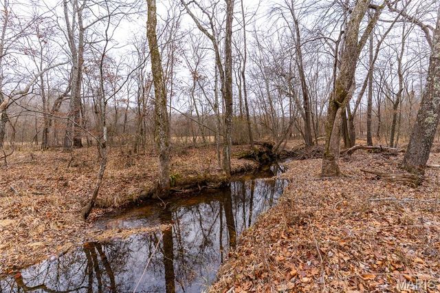 14524 US-67N, Williamsville, MO 63967