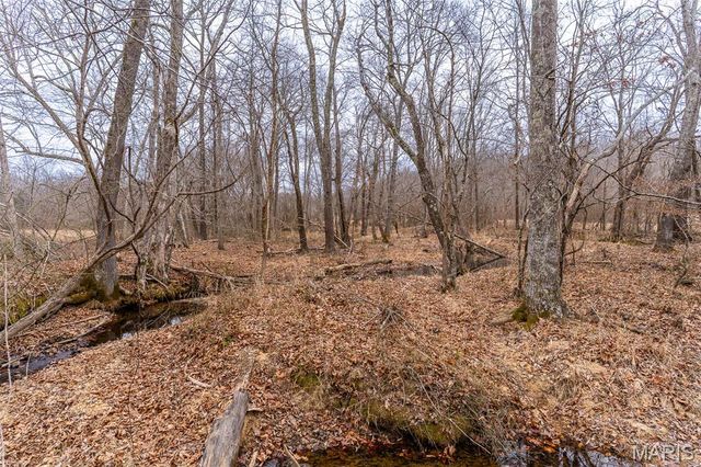 14524 US-67N, Williamsville, MO 63967