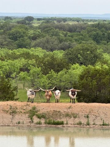 1473 Highway 16 S, Strawn, TX 76475