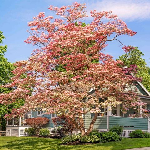 54 Endicott Rd, Stoneham, MA 02180