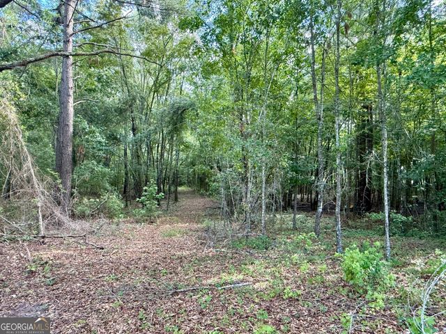 1430 Old Poor Robin Road, Sylvania, GA 30467