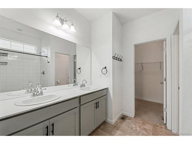 1764 Branching Canopy Dr, Windsor, CO 80550