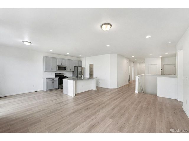 1764 Branching Canopy Dr, Windsor, CO 80550