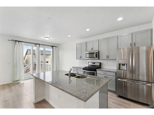 1764 Branching Canopy Dr, Windsor, CO 80550