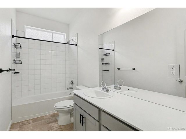 1764 Branching Canopy Dr, Windsor, CO 80550