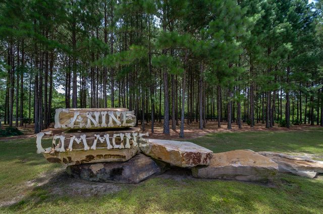 125 Whitman Way, Freeport, FL 32439