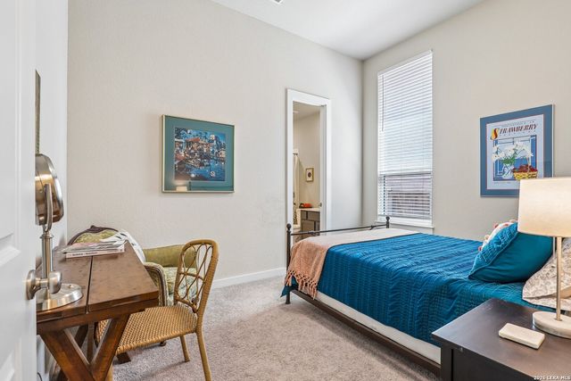 312 PIN CHERRY PASS, San Marcos, TX 78666