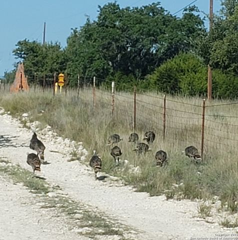 932 Shin Oak, Menard, TX 76859