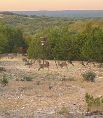 932 Shin Oak, Menard, TX 76859