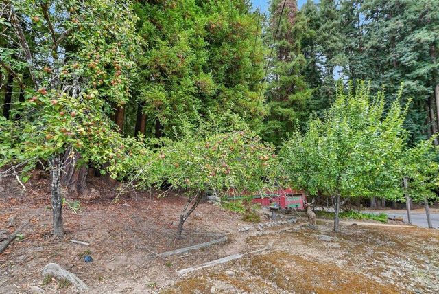 917 Scenic Drive, Felton, CA 95018