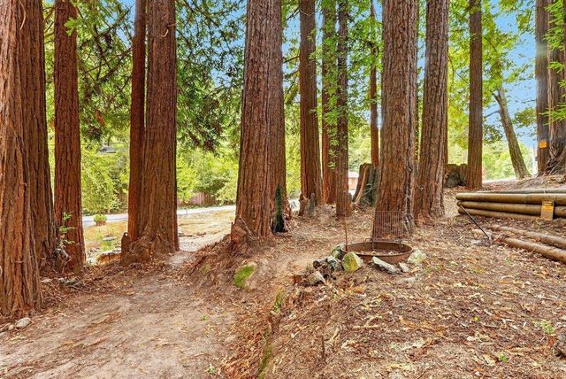917 Scenic Drive, Felton, CA 95018