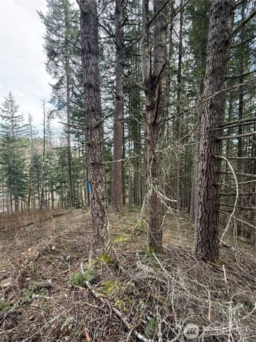 53007 128th Avenue E, Eatonville, WA 98328