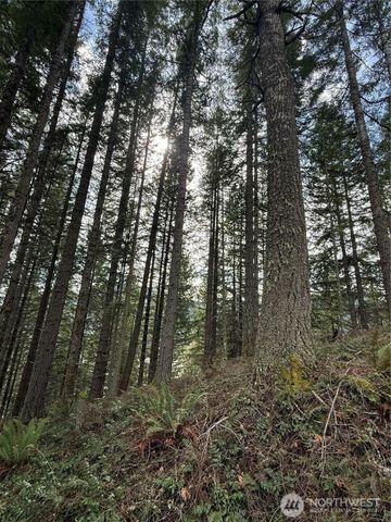 53007 128th Avenue E, Eatonville, WA 98328