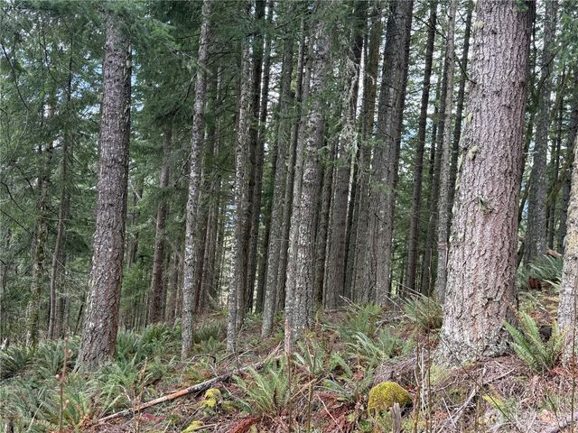 53007 128th Avenue E, Eatonville, WA 98328